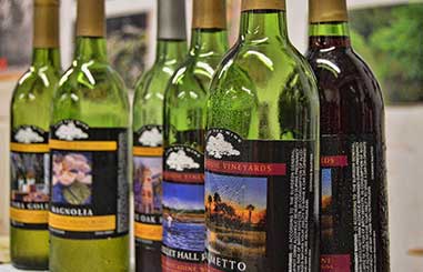 charleston-winery-tour-05 image charleston-winery-tour-05