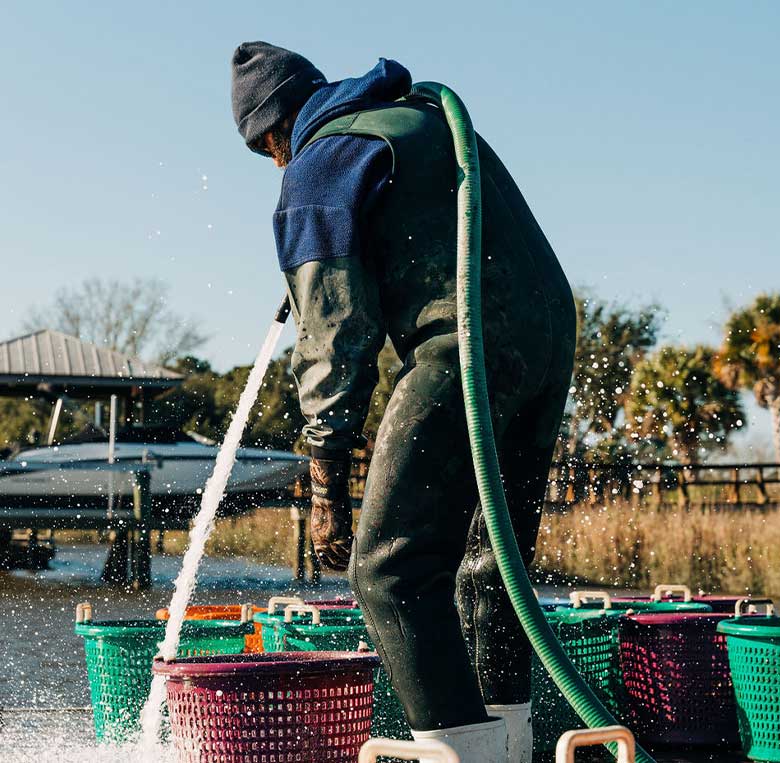 Charleston-chicken-and-oyster-tour-01 image Charleston-chicken-and-oyster-tour-01