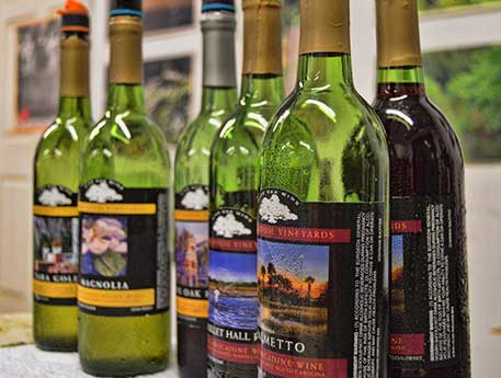 tea-plantation image tea-plantation