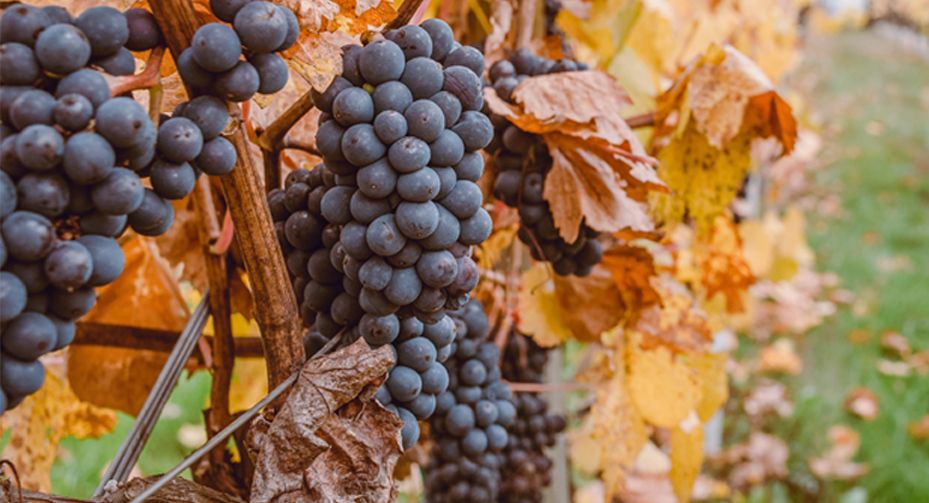 8743b3fb image 8743b3fb