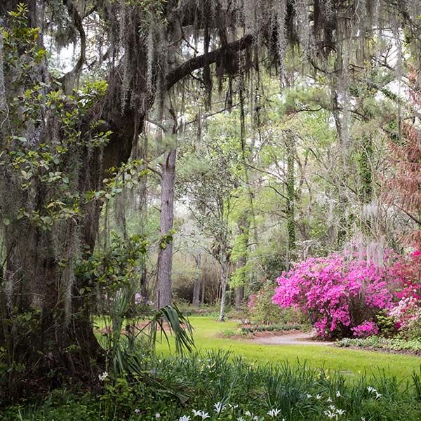 8f8c276c image 8f8c276c