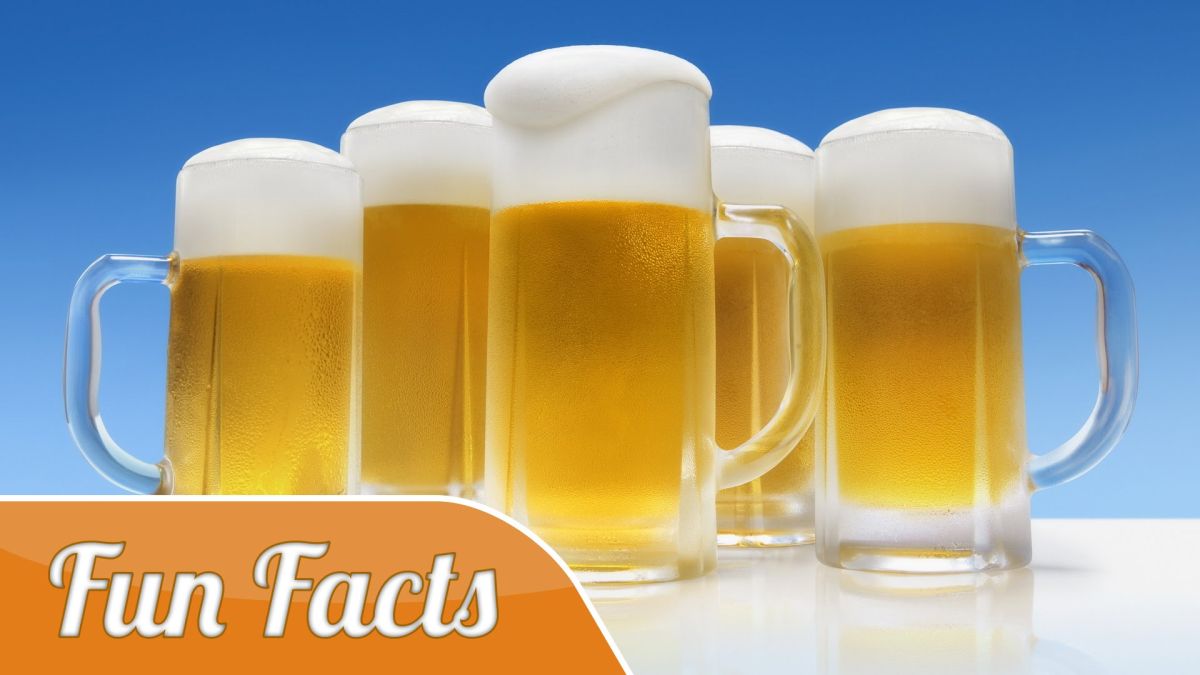 funfacts-9733defe image Charleston Beer