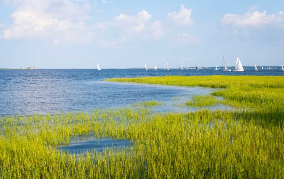 e10f0eaa image e10f0eaa